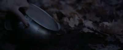 I call upon you, brought
by leaves and seeds. - Pyewacket