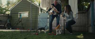 I was called Molly,
and he was called Rocky. - A Dog's Journey