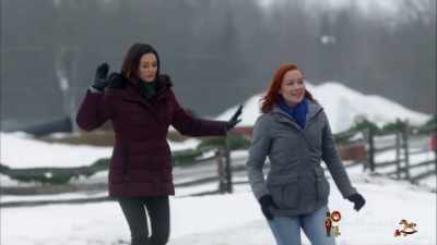 I came here to get a tree and
that's what I intend to do. - Christmas Festival of Ice