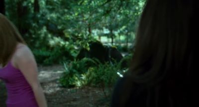 I came here to help you bitch - Vampires Suck