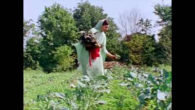 I came here because I wanted
a non-material lifestyle, - Krishnas: Gurus. Karma. Murder.