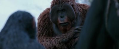 I came for you - War for the Planet of the Apes