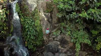 I can actually see
that the gorilla‐‐ - Lost Gold of World War II