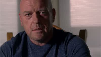 I can be the man who caught him, at least. - Breaking Bad