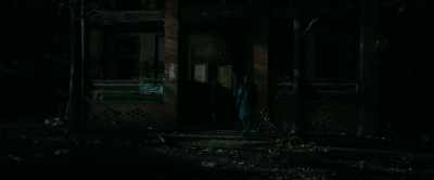 I can believe that
you can't understand. - American Pastoral