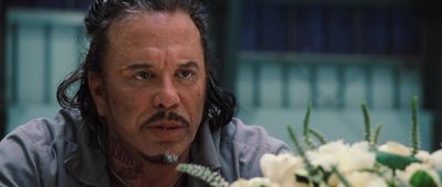 I can get you a bird I can get you 10 birds - Iron Man 2