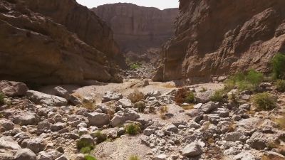 I can hear water. - 7 Toughest Days