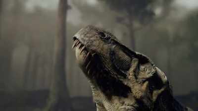I CAN IMAGINE DINOSAURS EYES
KIND OF DOING THAT. - Dino Hunters