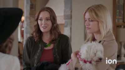 I can just imagine the headlines: - Dognapped: A Hound for the Holidays