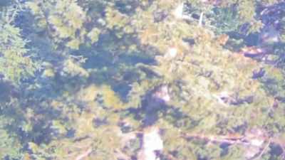 I can literally watch, record,
and see everything down there. - Expedition Bigfoot