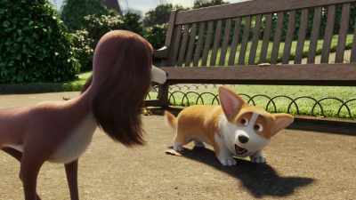 I can not follow. You run too fast for me. - The Queen's Corgi