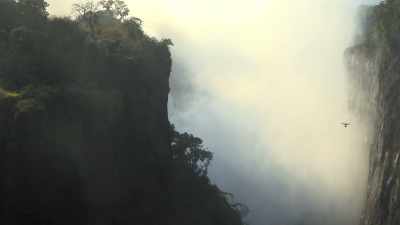 I can only imagine,
looking there, - In the Footsteps of Elephant