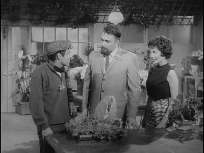 I can see it all now - The Little Shop of Horrors