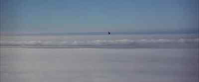I can see everywhere. - Jonathan Livingston Seagull