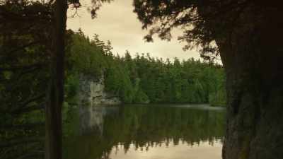 - I can see how - Frankie Drake Mysteries