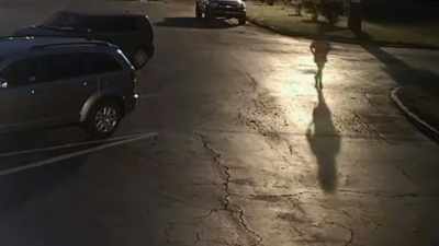 I can see Kelley at
times on the video - Never Seen Again