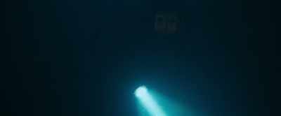 I can see something! - The Dive