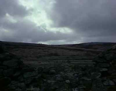 I can see you. - Wuthering Heights