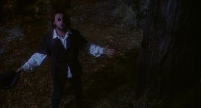 I can see - Robin Hood: Men in Tights