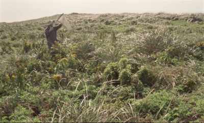 I can stop,
but I could have done it - Geographies of Solitude