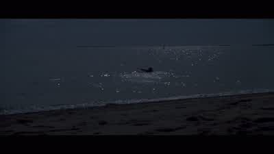 I can swim. - Jaws