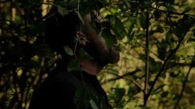 I can track cougar - Breakout