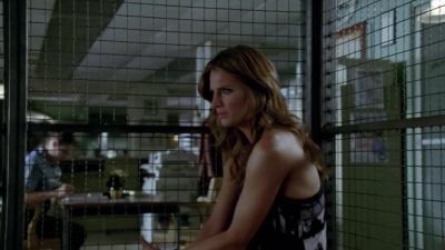 I cannot believe I
let you talk me into - Castle