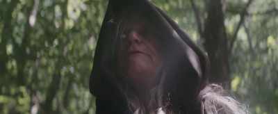I cannot decipher its meaning. - Viking Blood