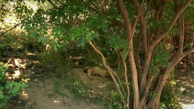     I cannot go too many more
     days in this challenge
         without eating. - Naked and Afraid