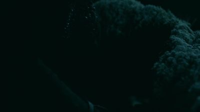 I cannot help you anymore. - Vikings