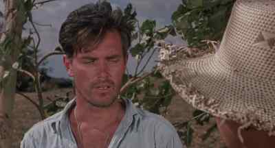I cannot hide you on my property. - No Man Is an Island