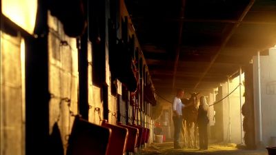 I can't believe this happened. - CSI: Miami