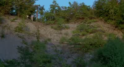 I can't believe it. - Wrong Turn