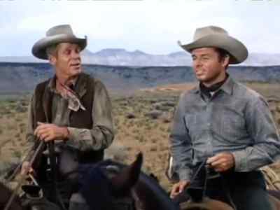 I can't believe it,
that they offer a horse for it! - Six Black Horses
