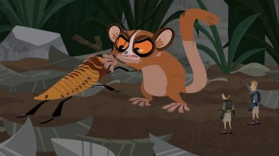 I can't believe the mouse lemur
is attacking that giant insect. - Wild Kratts