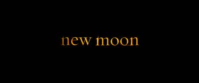 BELLA: "These violent delights have violent ends, "and in their triumph die, like fire and powder, "which, as they kiss, consume." - The Twilight Saga: New Moon