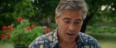I can't do it. - The Descendants