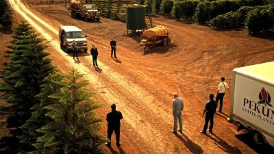 I can't do this. - Hawaii Five-0