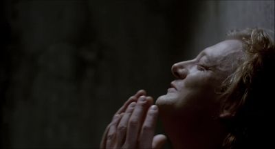 I can't fucking believe it - Orphans