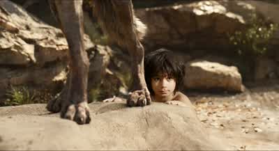 I can't help but notice... - The Jungle Book