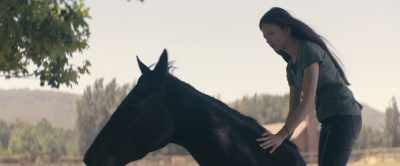 I can't. I don't know how. - Black Beauty
