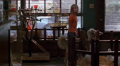 I can't just give you a job - Because of Winn Dixie
