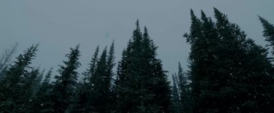 I cant remember my wife's faceLast week she was still with meNow she's goneI worry I won't recognize her when I get back home - The Revenant