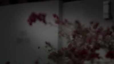 I can't say why
or what happened in that house. - What Happened, Brittany Murphy?
