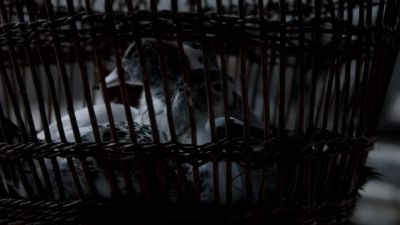 I can't see anyone!
Get more men! - Vikings