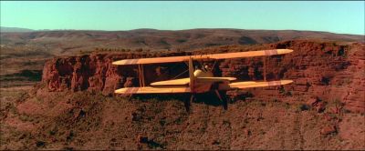 I can't see anything from up here - Kangaroo Jack
