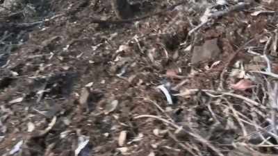  I can't see anything - Expedition Bigfoot