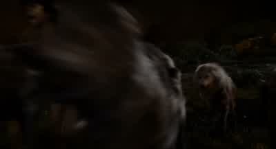 Stay here! - The Jungle Book