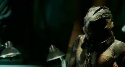I can't tell. - The Shape of Water