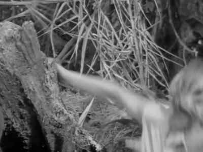 - I can't...
- You can try. - Tarzan's Hidden Jungle